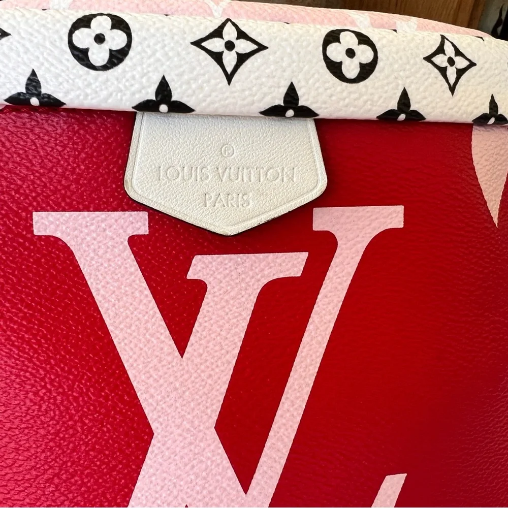 SOLD!!🔥🔥NWOT Louis Vuitton Giant Bumbag Limited Edition🔥🔥 - Picture 3 of 9